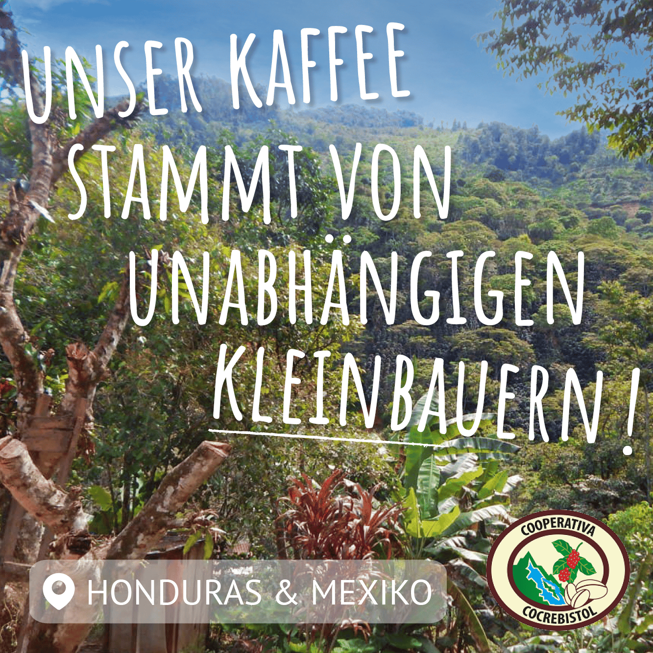 tropisches bild mit kaffeepflanzen am hang, aufschrift "unser kaffee stammt von unabhängigen kleinbauern"
