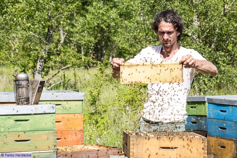 imker falko mit bienen und waben