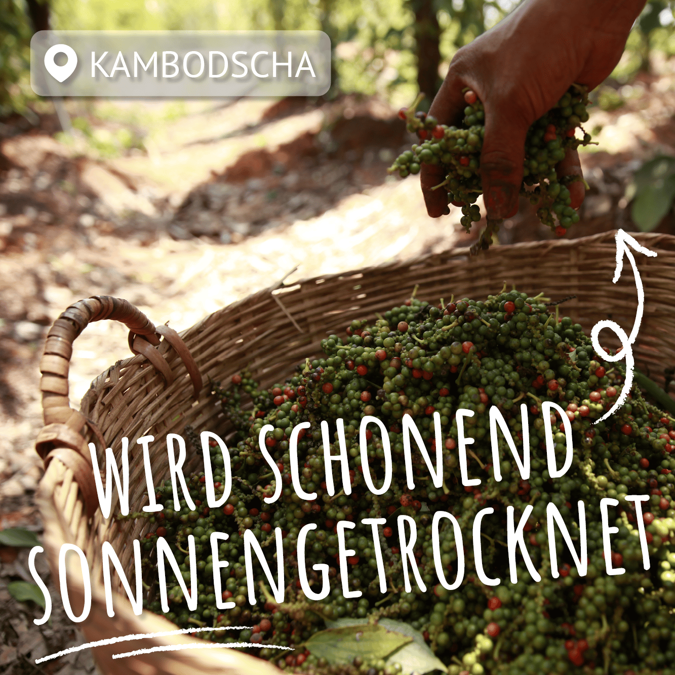 bunter pfeffer im flechtkorb