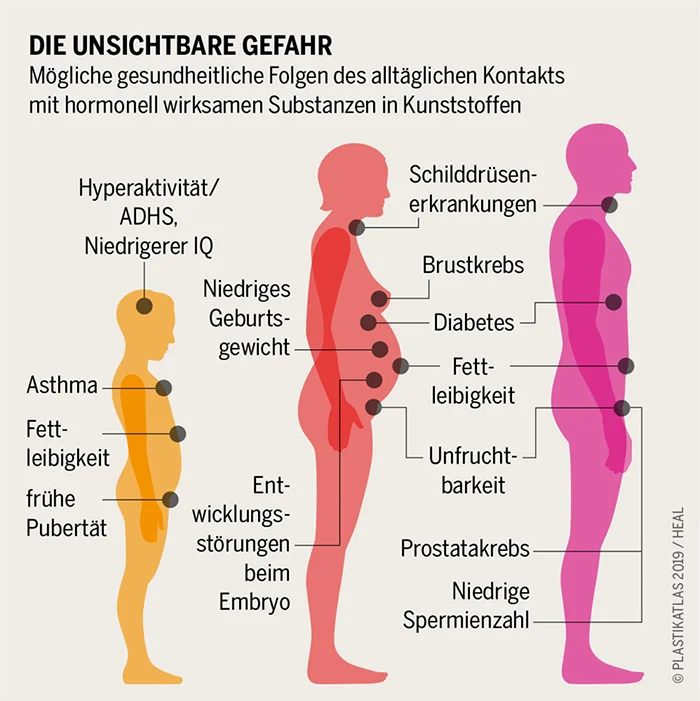 Potenzielle gesundheitliche Folgen durch Plastik