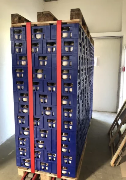 MMP_01 Zero Waste Versand: Mehrwegkisten auf Paletten mit Spanngurten befestigt